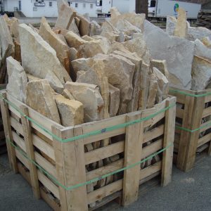 Flagging & Garden Path