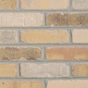 City Hall Thin Brick